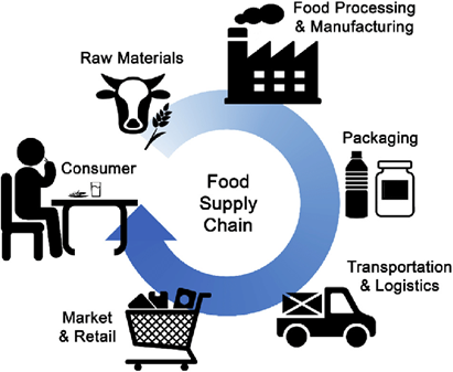 An image depicting the food supply chain from raw materials to the consumer